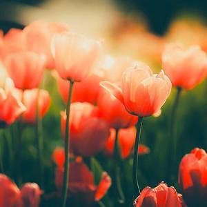 Meet your Posher, Sue